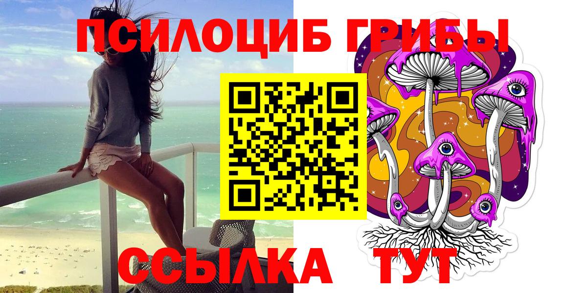 Псилоцибиновые грибы GOLDEN TEACHER  Псилоцибиновые грибы Psilocybine cubensis  Вход с VPN  Новокуйбышевск 