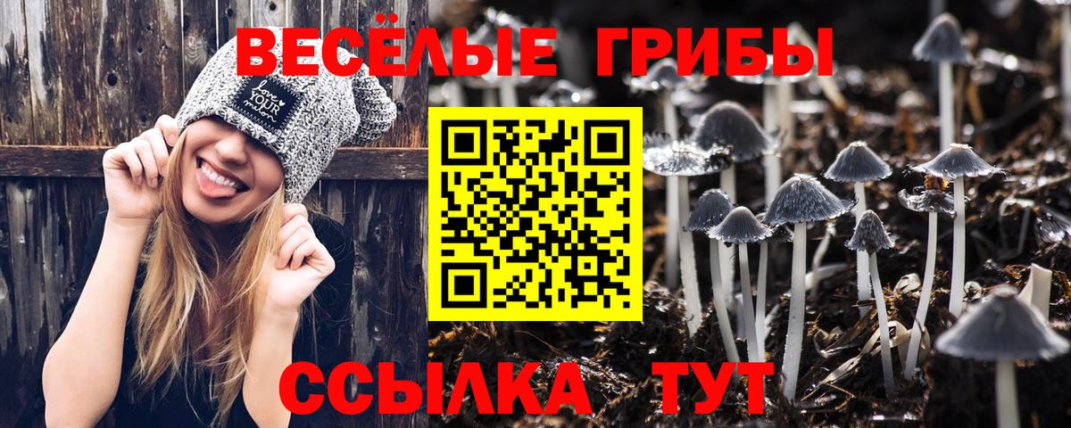 Псилоцибиновые грибы Cubensis Новокуйбышевск